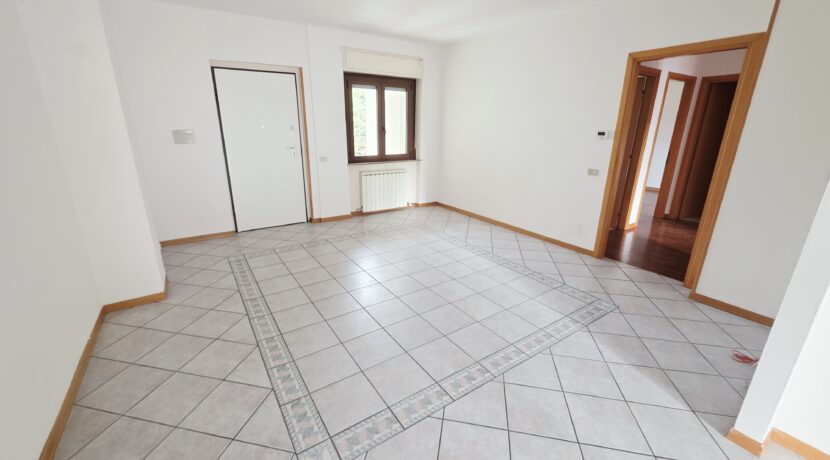 20260213_094950