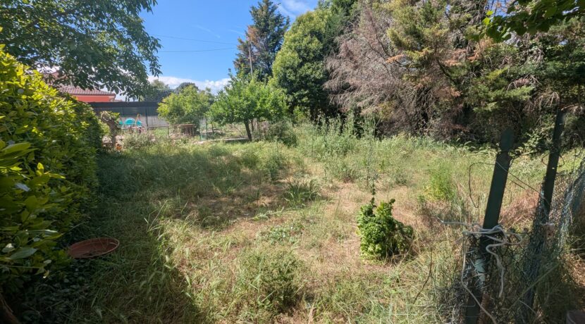 PXL_20260513_100006943
