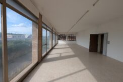 PXL_20260604_152646477